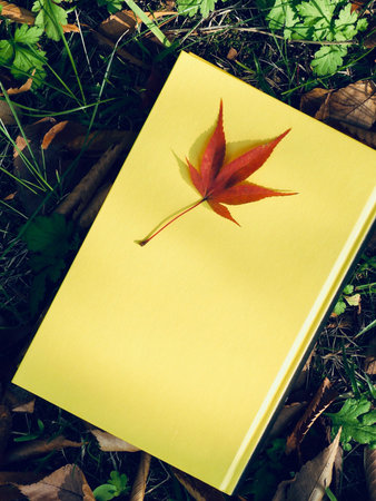 Yellow book and autumn maple leaves, fallen leaves
