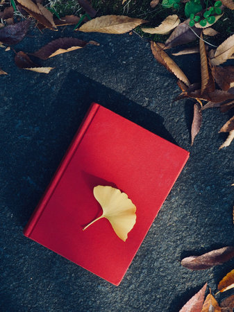 Red book and autumn maple, Ginkgo leaves