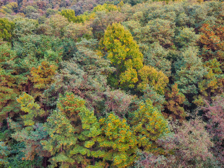 Autumn mountains and forest in korea