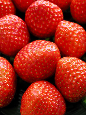 Organic Strawberries in a Porcelain Plate