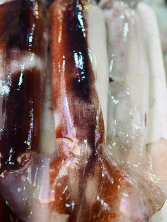 Fresh seafood squid, Food Ingredients