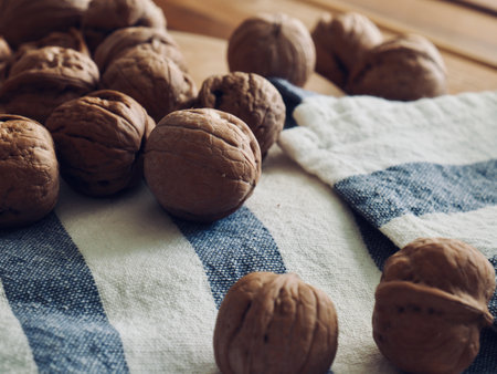 Fresh natural organic nuts walnutsの写真素材