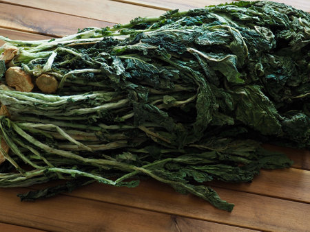 Korean food ingredient dried radish greens, Siraegiの写真素材
