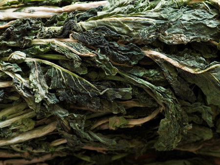 Korean food ingredient dried radish greens, Siraegiの写真素材