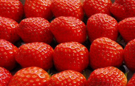Fresh Organic Fruit Strawberry Background Imageの写真素材