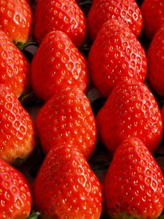 Fresh Organic Fruit Strawberry Background Imageの写真素材