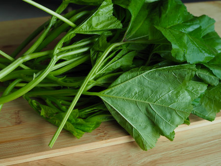 Fresh organic natural vegetable mallowの写真素材