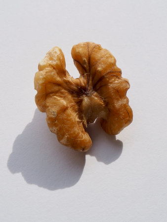 Fresh natural organic nuts walnuts