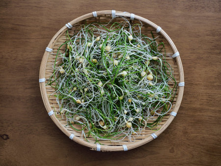 Korean food ingredients wild chiveの写真素材