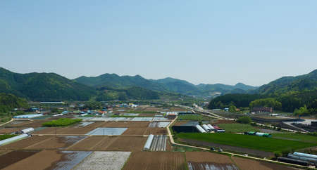 Korean rice fields, sky and mountainsの写真素材