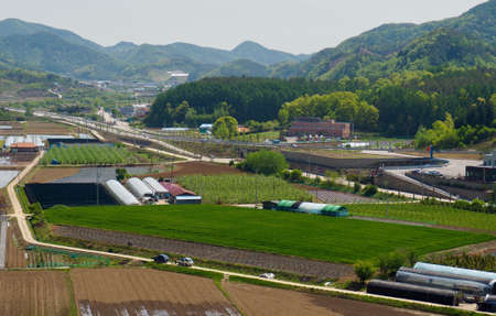 Korean rice fields, sky and mountainsのeditorial素材