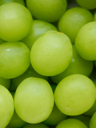 Fresh Organic Fruit Shine Musket, Grapesの写真素材