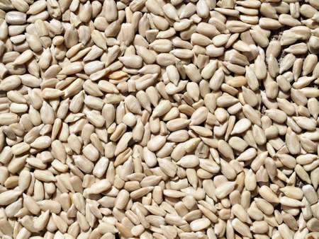 Organic sunflower seeds, food, cooking ingredientsの写真素材