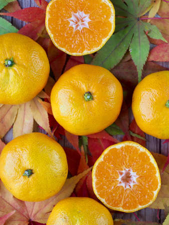 Fresh fruit citrus, mandarin, tangerine, Maple leafの写真素材