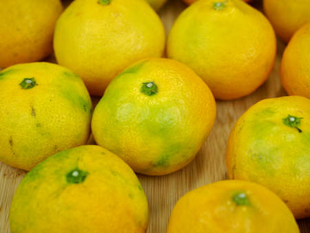 Fresh fruit Jeju citrus, mandarin, tangerineの写真素材