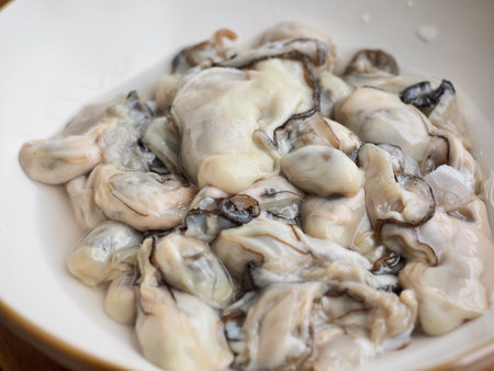 Fresh seafood oysters, food, cooking ingredientsの写真素材