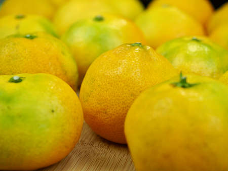 Fresh fruit Jeju citrus, mandarin, tangerineの写真素材