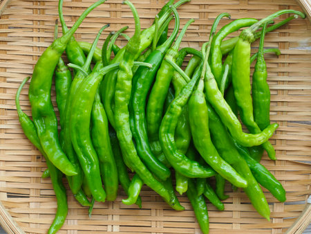 fresh organic vegetable green pepperの写真素材