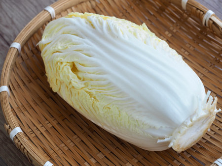 Korean fresh organic vegetable cabbageの写真素材