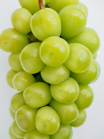 Fresh Organic Fruit Shine Musket, Grapesの写真素材
