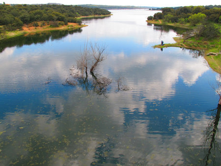 reflections of sky and clouds on a dry lake with a tree in madridの写真素材