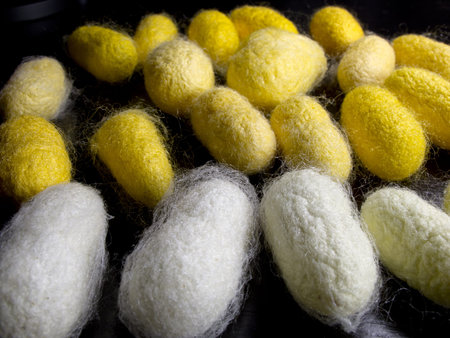 a silkworm cocoons of many colors in the foreground