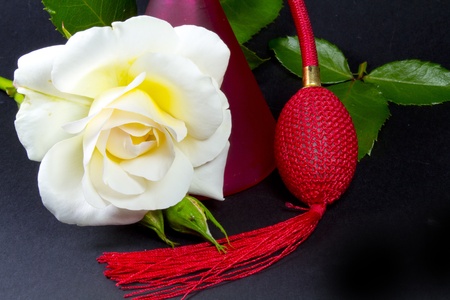 a white rose and red spray on black backgroun dの写真素材