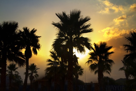 beautiful sunset at seaの写真素材