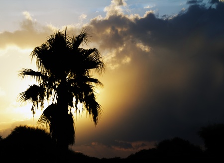 beautiful sunset at seaの写真素材