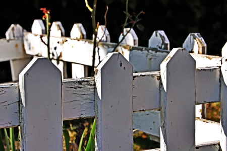 wooden fence in gardenの写真素材