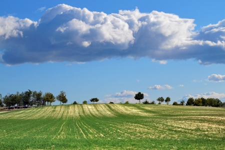 culture landscape in perspective with clouds in the skyの写真素材