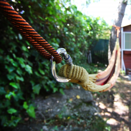 hitch hammock between treesの写真素材
