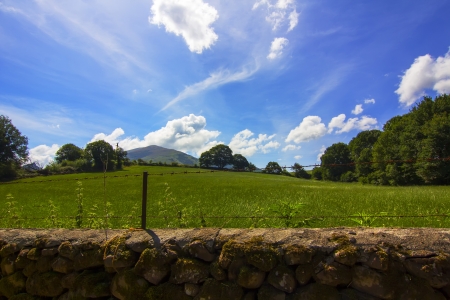 green meadow in spring with blue sky and white cloudsの写真素材