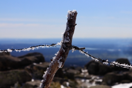fence of thorns full of ice on wiresの写真素材