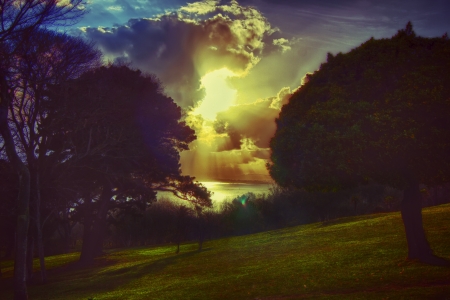 area of trees with storm threatening skyの写真素材