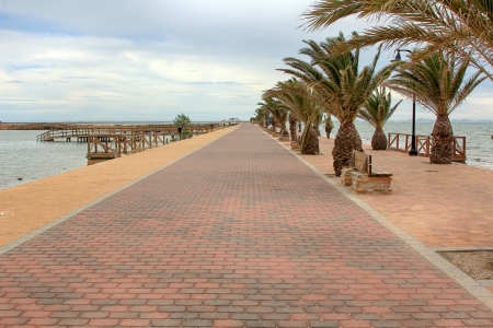 promenade with palm trees in San Pedro del Pinatar, Spainの写真素材