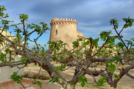 The home of the Torre de la Horadada 1880 in the town of Pilar de la Horadada, Spainのeditorial素材