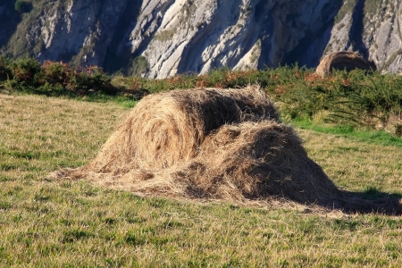 bale of straw on a steep meadow by the seaの写真素材