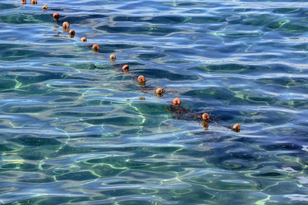 red buoys to hold net in the sea