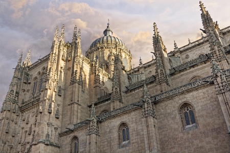 Cathedral of Salamanca, Spainの写真素材