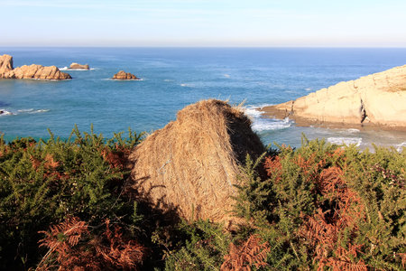 coastal landscape with blue sea and beautiful cliffsの写真素材