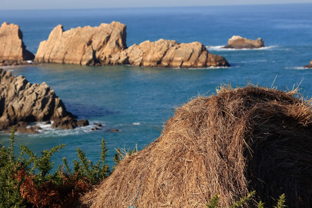 coastal landscape with blue sea and beautiful cliffs