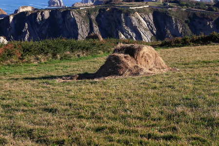 bale of straw on a steep meadow by the seaの写真素材