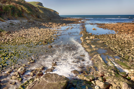 Gulls on the rocks by the sea