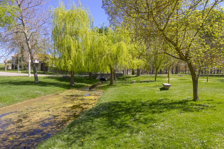 green meadow with trees and a creek one day in sunの写真素材