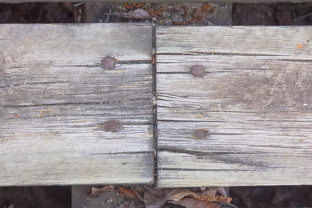 macro of wood with nailsの写真素材