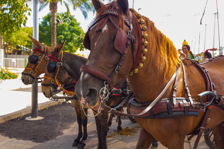 ANDUJAR,SPAIN - September, 6: Women with its typical Andalusian costumes in their carriages during the horse fairon September, 6, 2014 in Andujar, Spainのeditorial素材