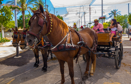 ANDUJAR,SPAIN - September, 6: Participants in the fair of the horse walk on their carriages Andalusian style and typical costume on September, 6, 2014 in Andujar, Spainのeditorial素材