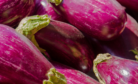 Solanum melongena Bright and colorful background with eggplantの写真素材