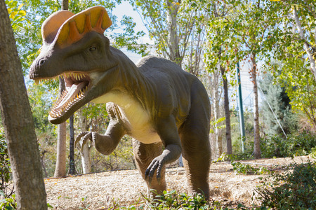 dinosaur carnivore Coritusaurioの写真素材